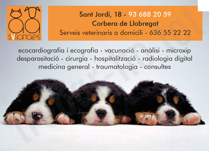 Centre Veterinari Svsana.es